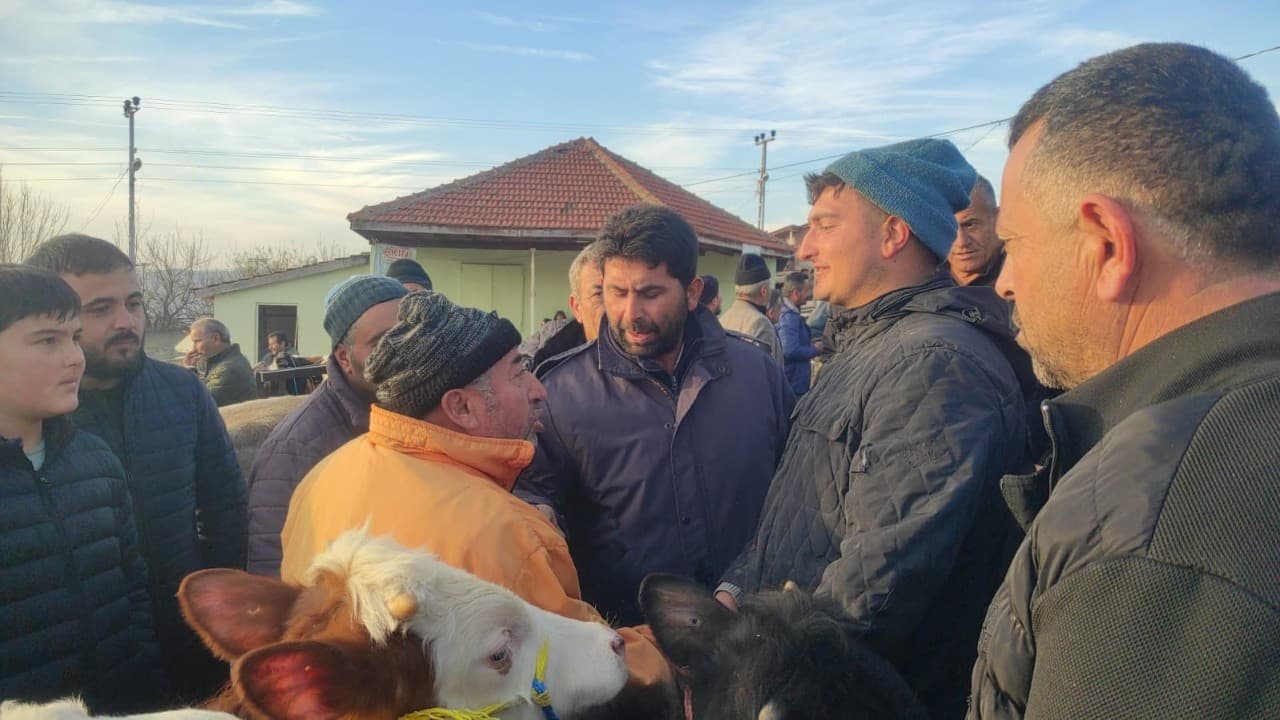 Çekerek'te Hayvan Pazarı Şap Sonrası Yeniden Açıldı