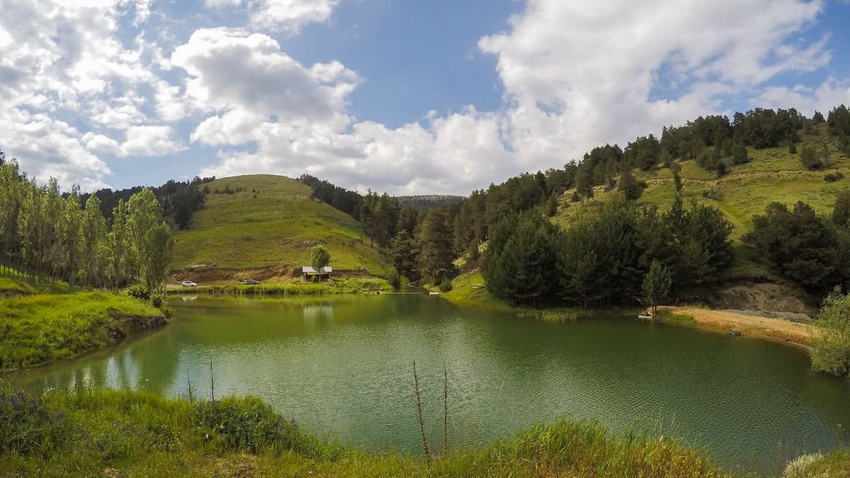 Akdağmadeni: İç Anadolu'nun Saklı Orman Denizi