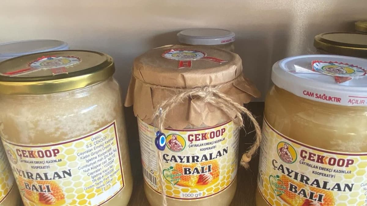 Çayıralan: Ormanın Ortasında Bal ve Türbe