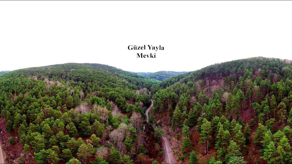 Çayıralan: Ormanın Ortasında Bal ve Türbe