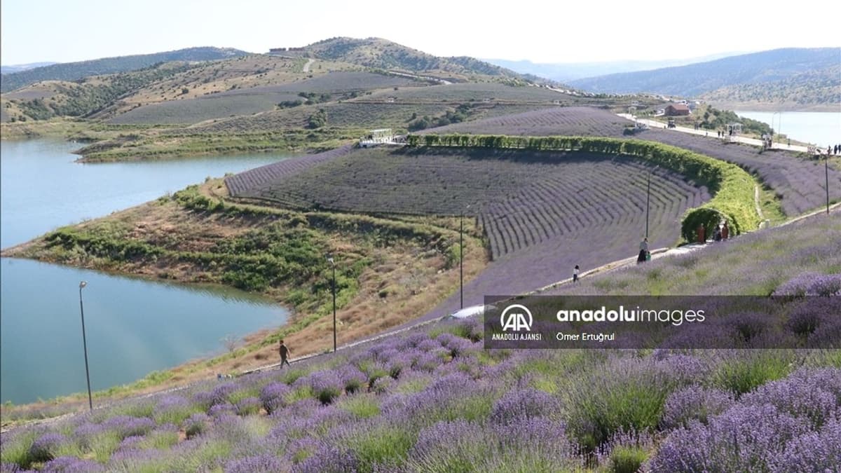 Çekerek: Lavanta, Rafting ve Kızlar Kayası'nın İlçesi