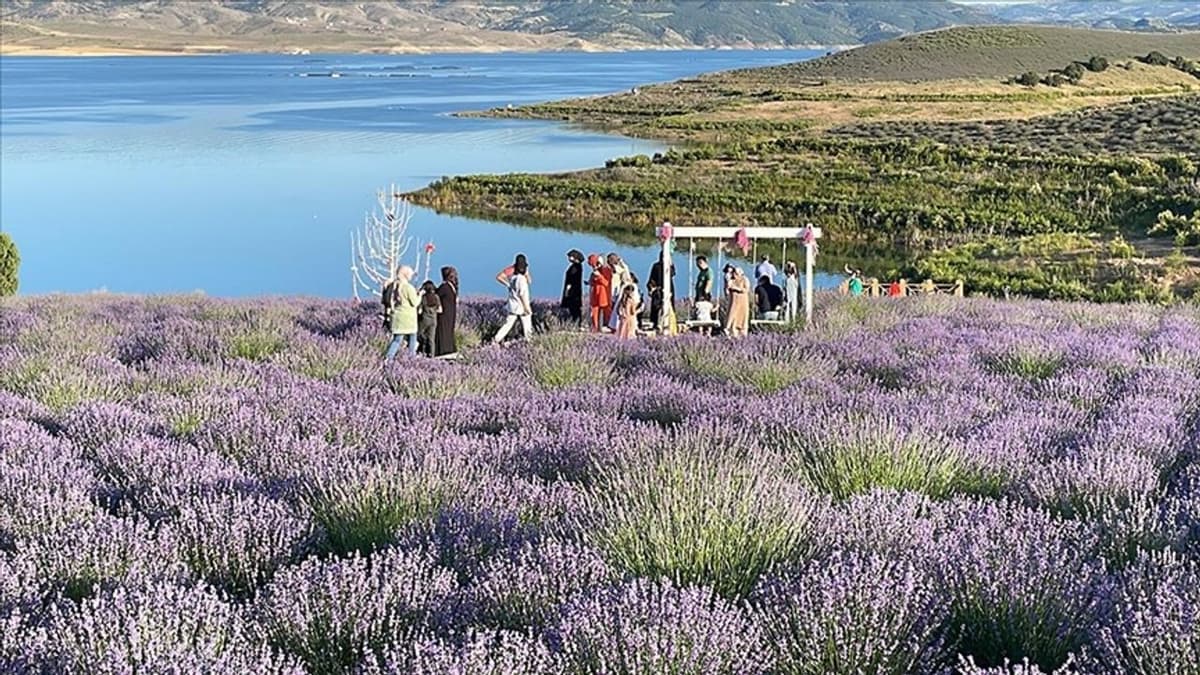 Çekerek: Lavanta, Rafting ve Kızlar Kayası'nın İlçesi