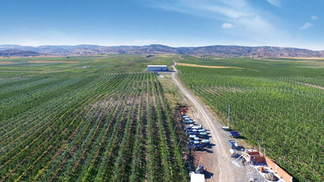 Kadışehri: Deveci Dağlarının Elması, Kabalı'nın Umudu