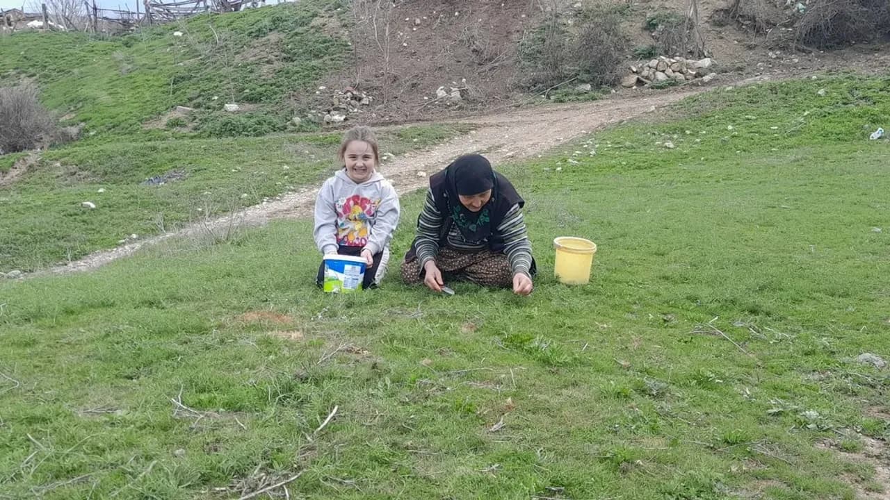 Madımak: Yozgat Sofrasının Bahar Habercisi