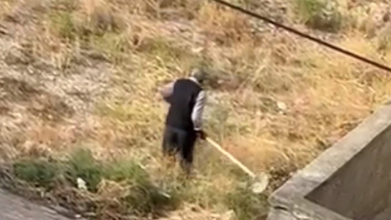 Köpeğe Şiddet Uygulayan Kişi Yozgat'ta Gözaltına Alındı Köpeğe Şiddet Uygulayan Kişi Yozgat'ta Gözaltına Alındı