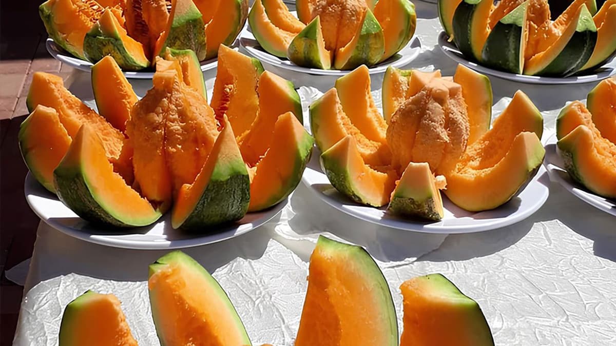 Aydıncık Bağrıbütün Kavunu: Kanyonun Dibinde Yetişen Eşsiz Tat