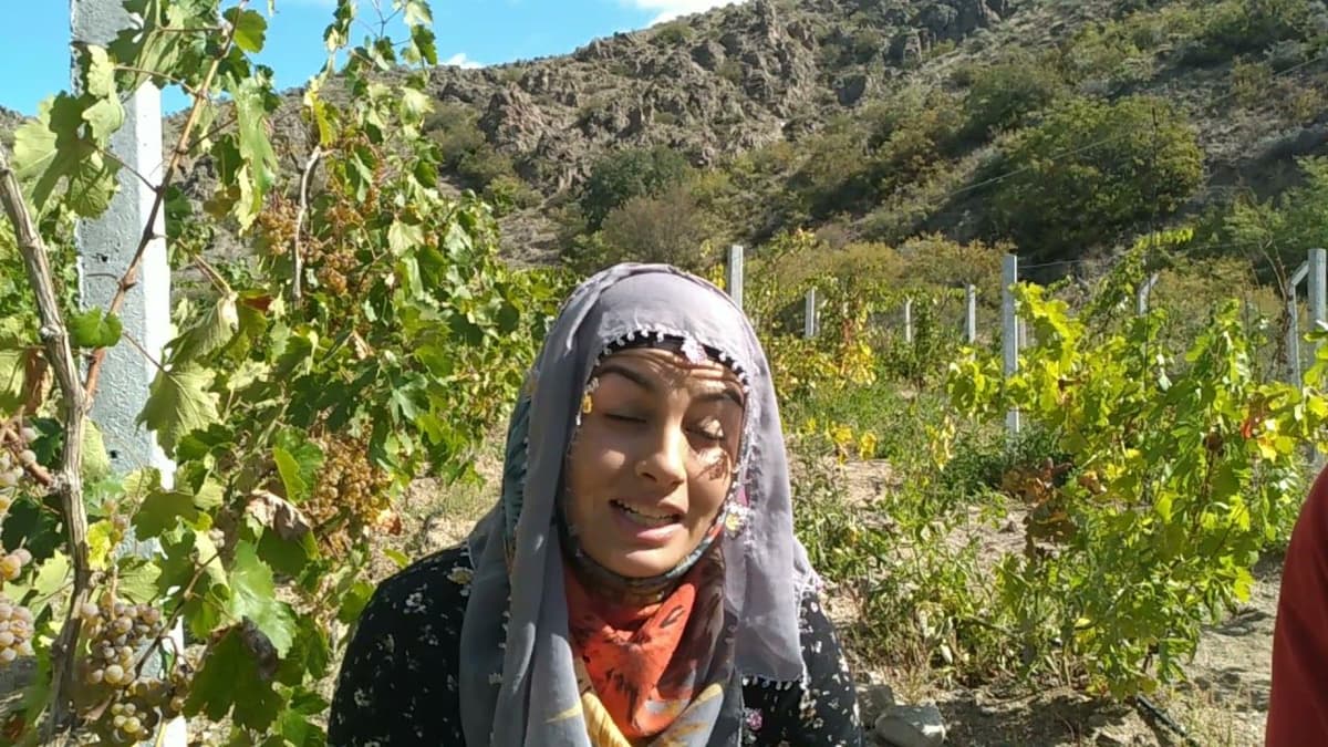 Şefaatli: Karanlık Dere'nin Derinliklerinde Saklı Bir İlçe