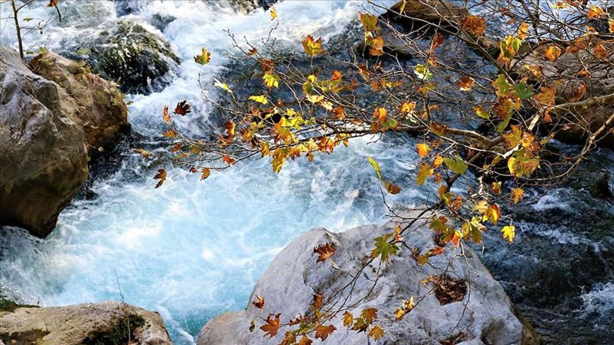 Şefaatli: Karanlık Dere'nin Derinliklerinde Saklı Bir İlçe