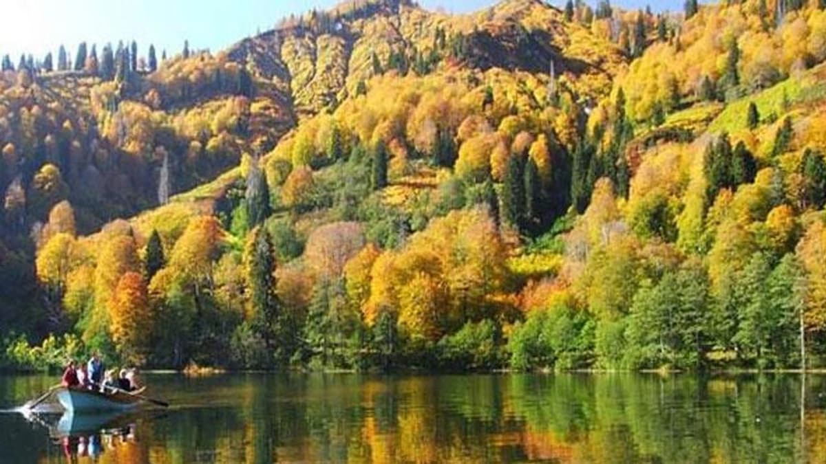 Yozgat Çamlığı Milli Parkı: Türkiye'nin İlk Milli Parkı