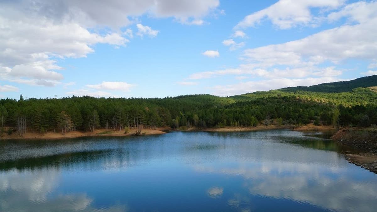 Yozgat Çamlığı Milli Parkı: Türkiye'nin İlk Milli Parkı