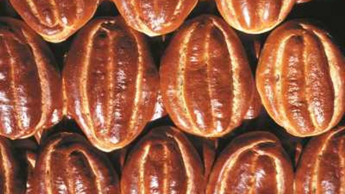 Yozgat Parmak Çöreği: Tescilli Lezzet, Vazgeçilmez Sofra